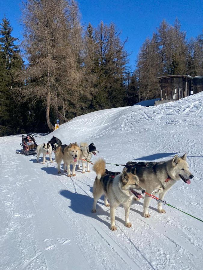 Plagne Bellecote - 5 Pers - Vue Pistes - Acces Piscine Chauffee Διαμέρισμα La Plagne Εξωτερικό φωτογραφία